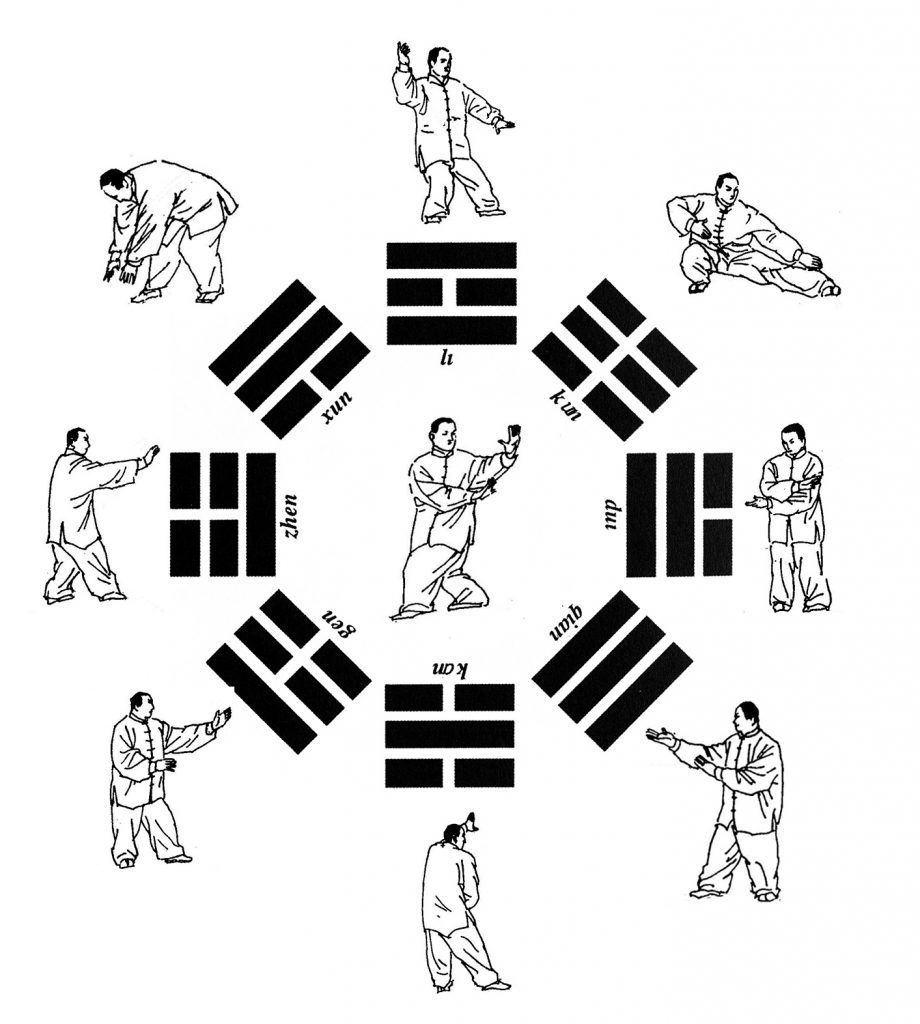 Ảnh minh hoạ bài viết về Năng lượng sinh học